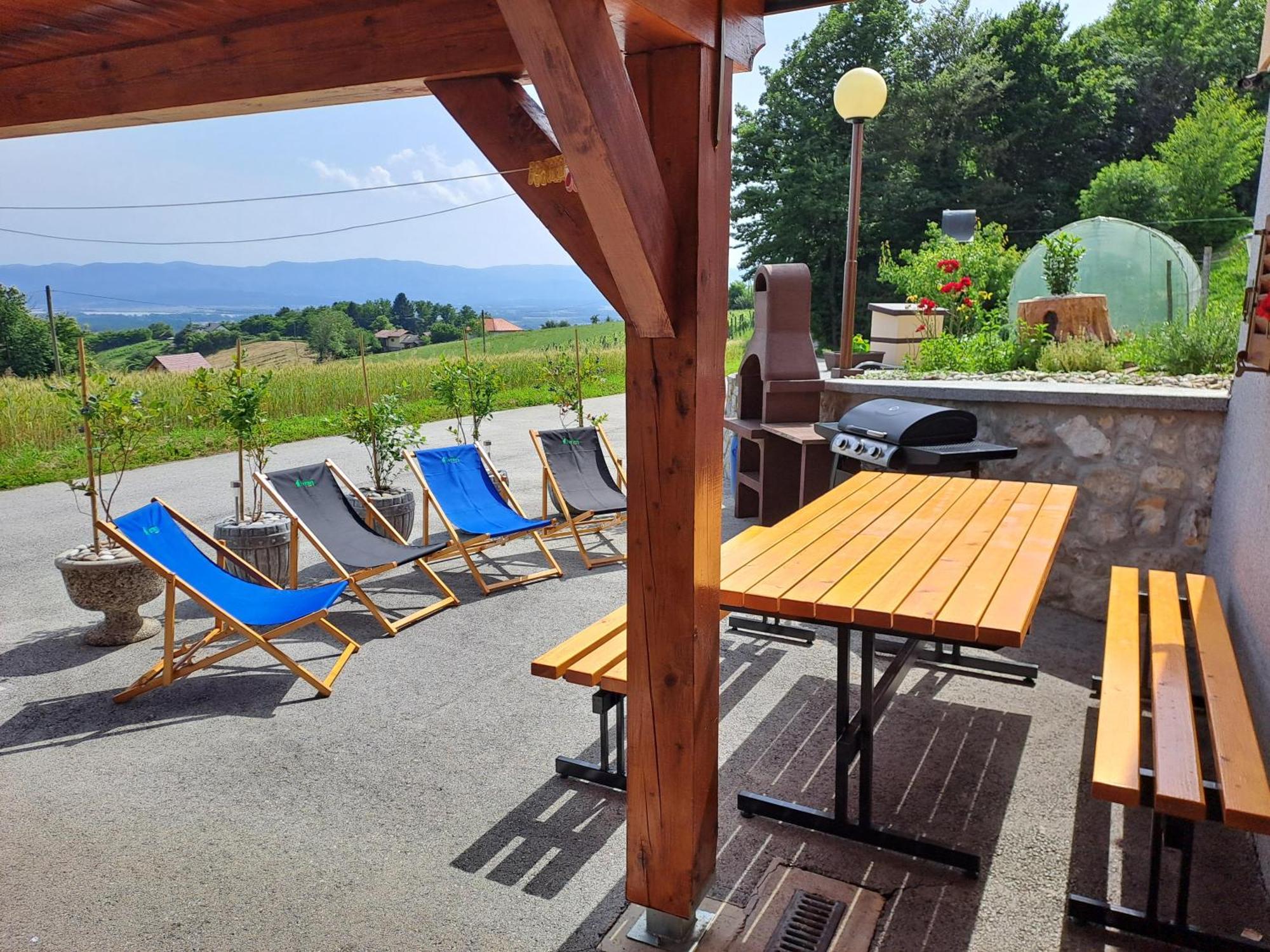 Apartments Jernej With Onsite Wellness Brezice Luaran gambar